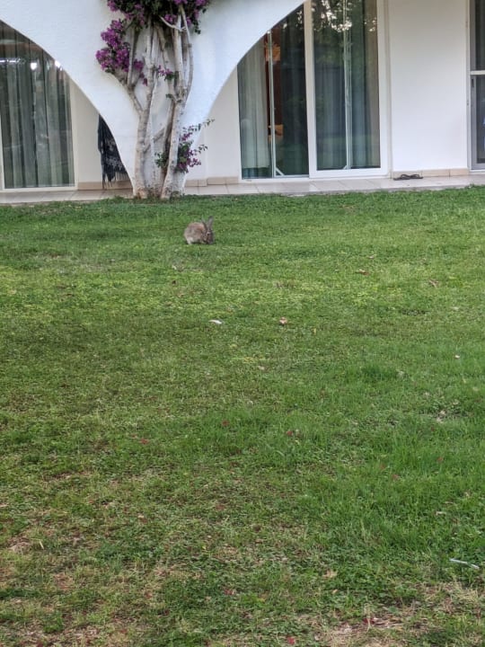 Gartenanlage Labranda Alantur Resort