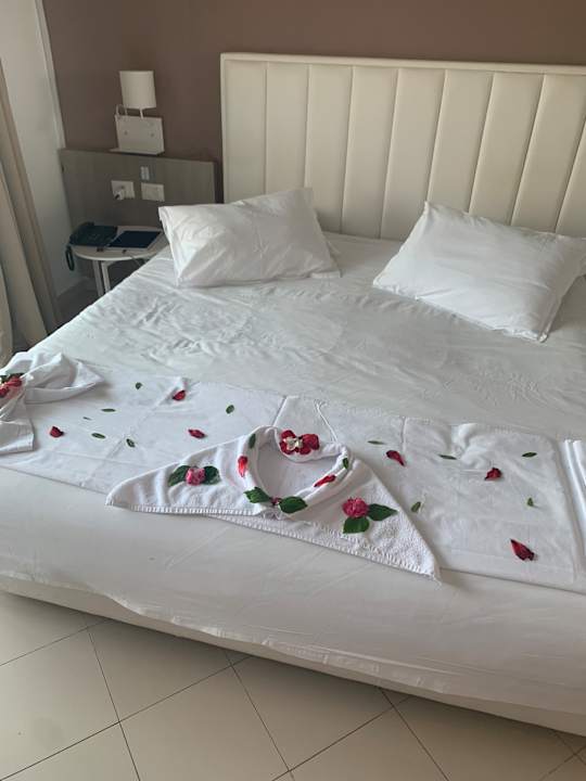 Zimmer Golden Tulip President Hammamet