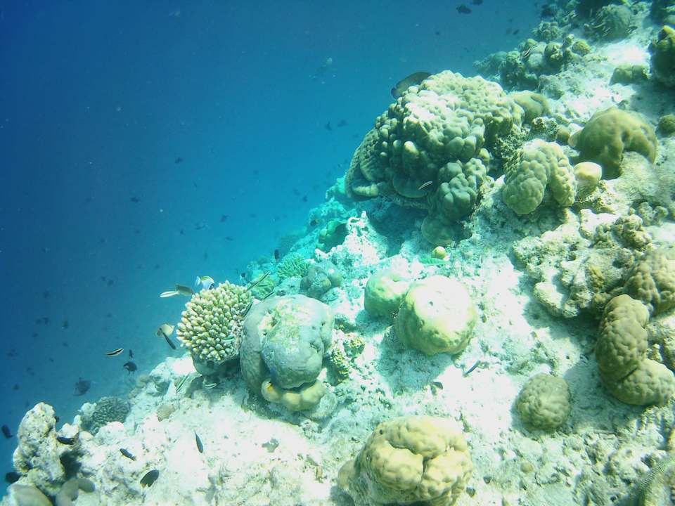 Strand Vilamendhoo Island Resort & Spa