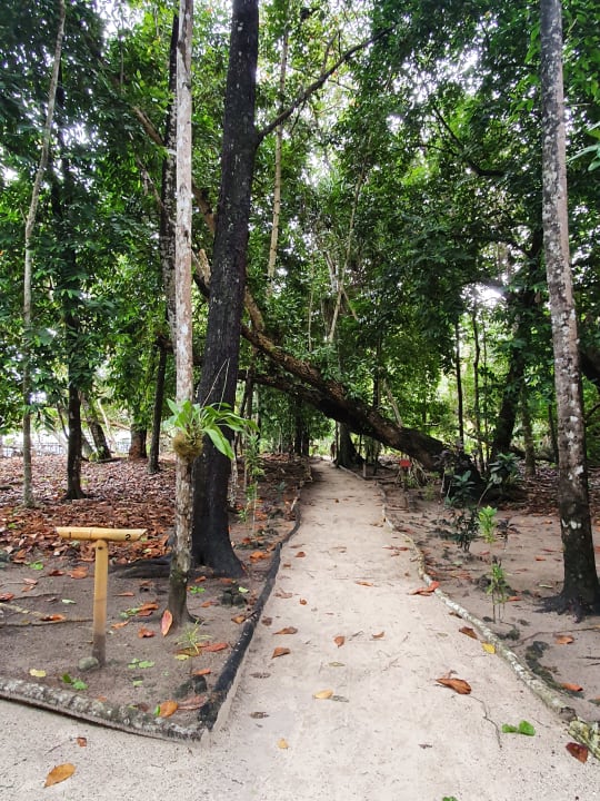 Gartenanlage Papua Paradise Eco Resort