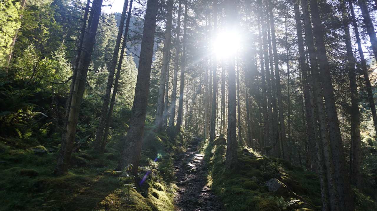 Sonstiges Premium Wanderhotel Steirerhof