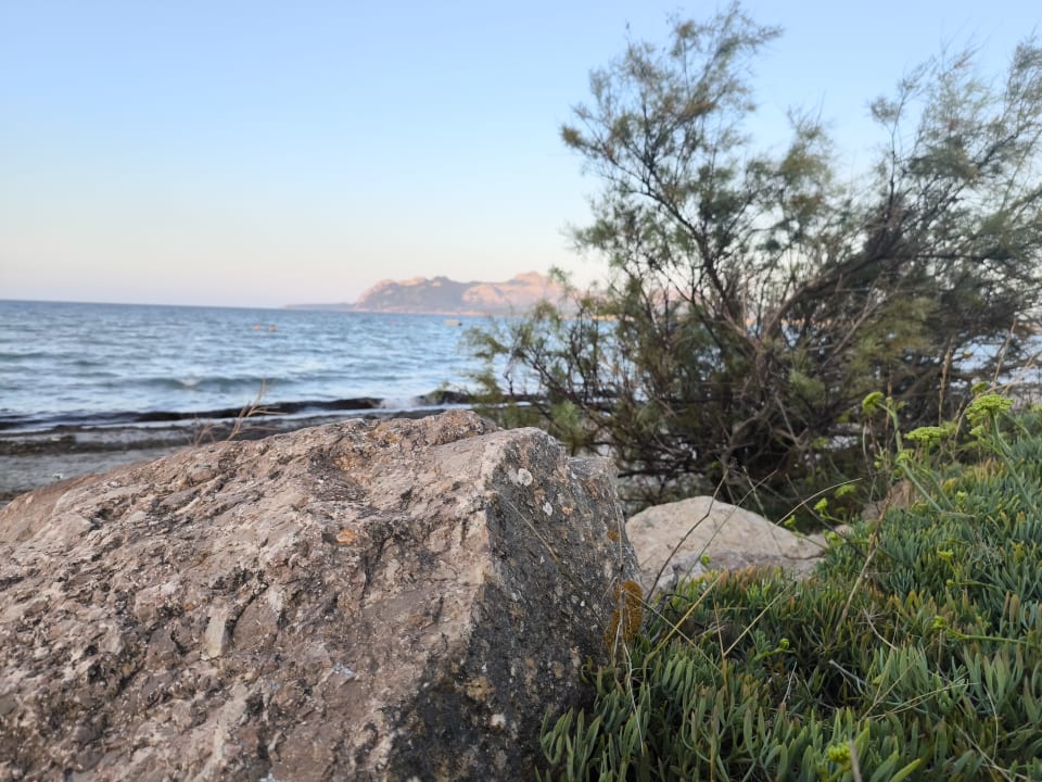 Strand PortBlue Club Pollentia Resort & Spa