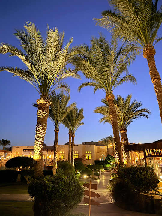 Gartenanlage Steigenberger Coraya Beach - Adults only