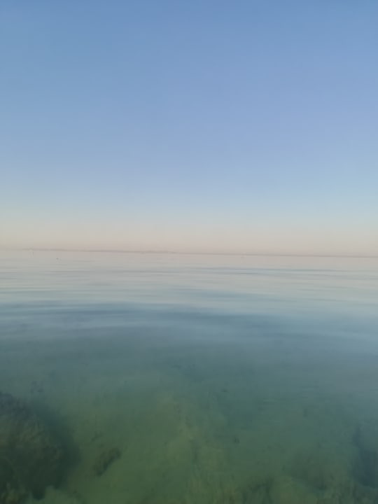 Strand Sea Star Beau Rivage