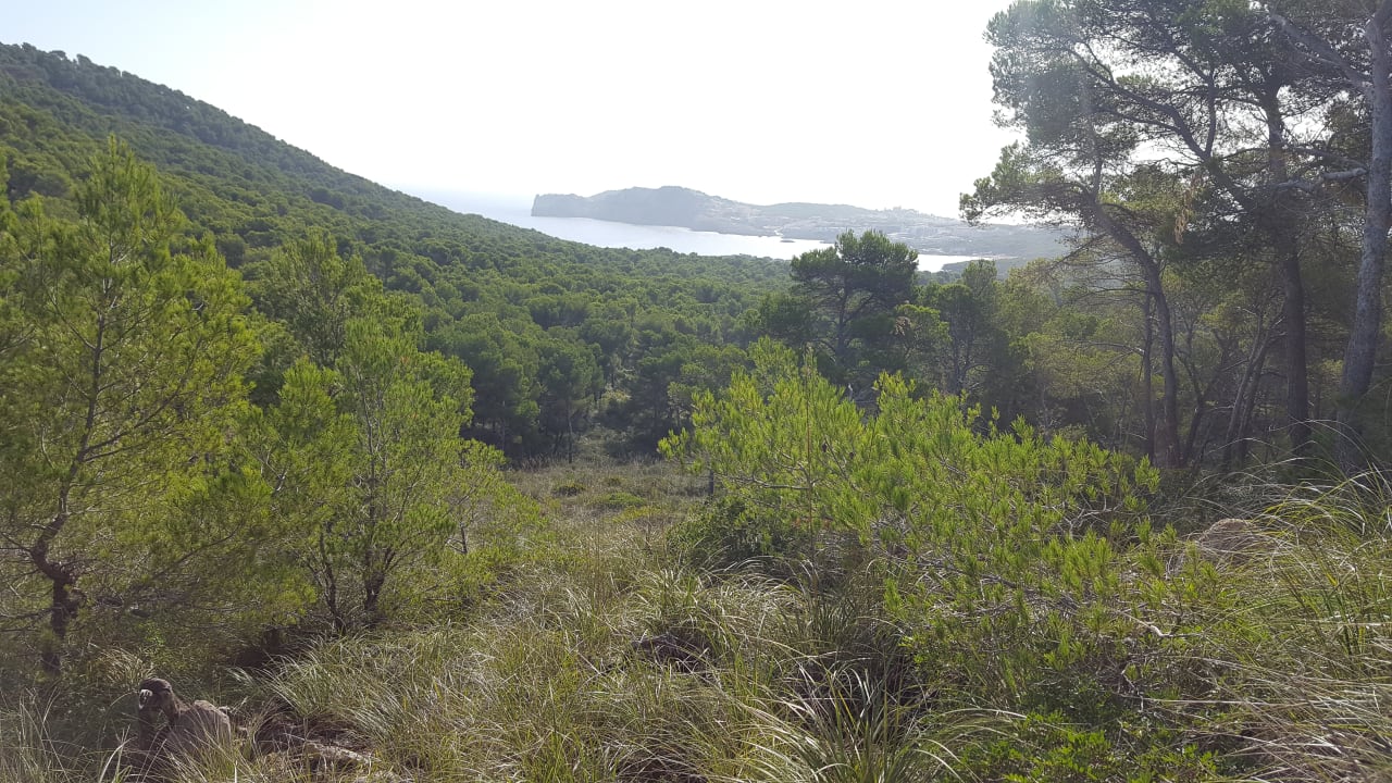 Strand Hotel & Spa S'Entrador Playa