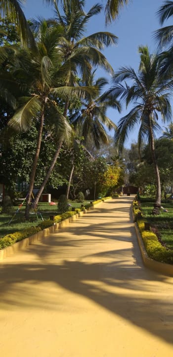 Gartenanlage Hotel Kiwengwa Beach Resort