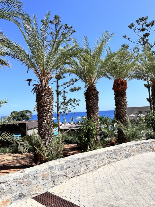 Gartenanlage Nana Golden Beach