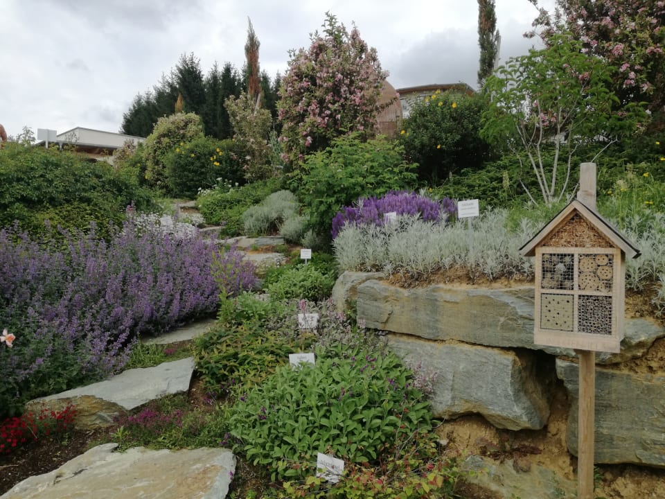 Gartenanlage Hotel & Spa Larimar