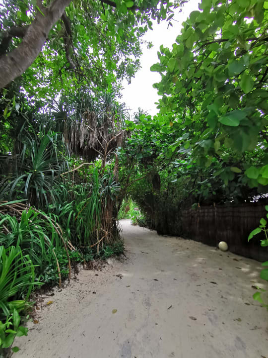 Gartenanlage Kuredhivaru Resort and Spa, Maldives