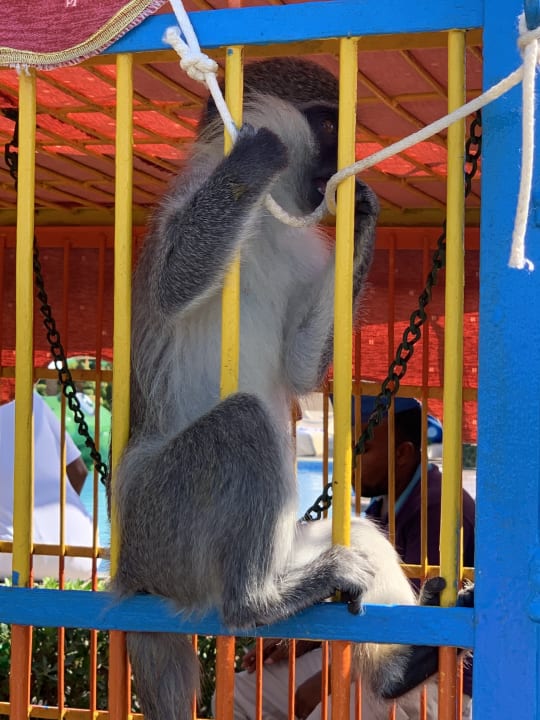 Sonstiges Riviera Aqua Park Resort