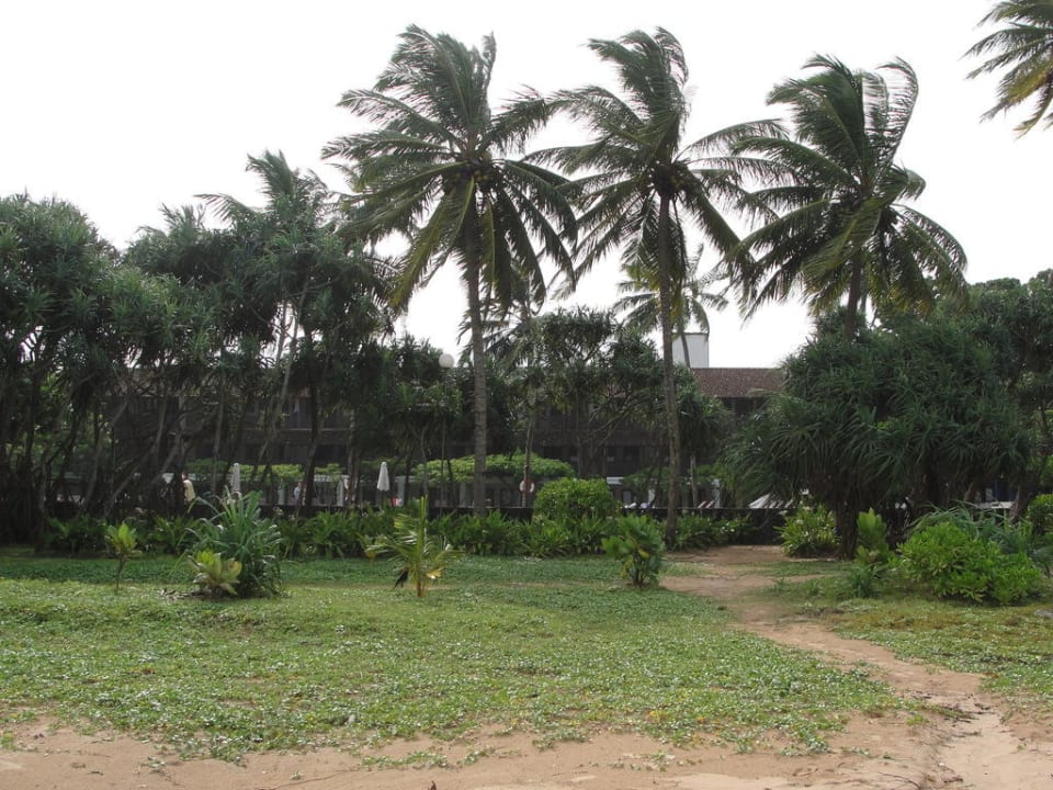Blick vom Strand Thaala Bentota