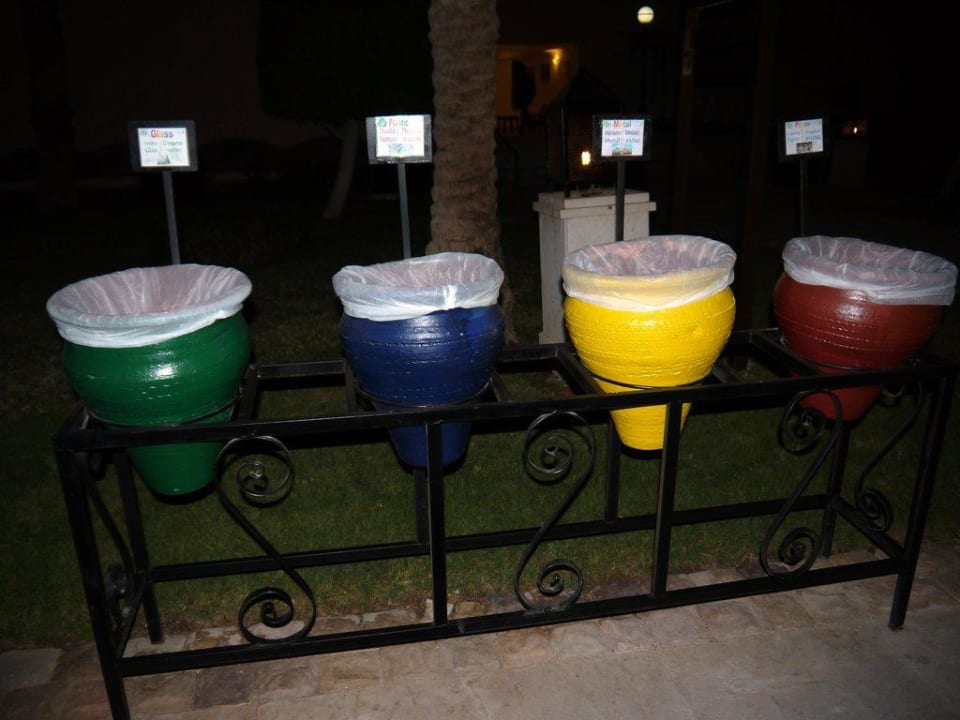 Überall Mülleimer Beach Albatros Resort