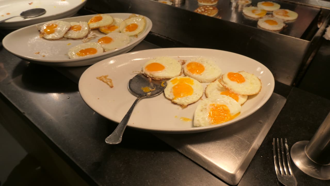 Gastro Hotel Riu Festival