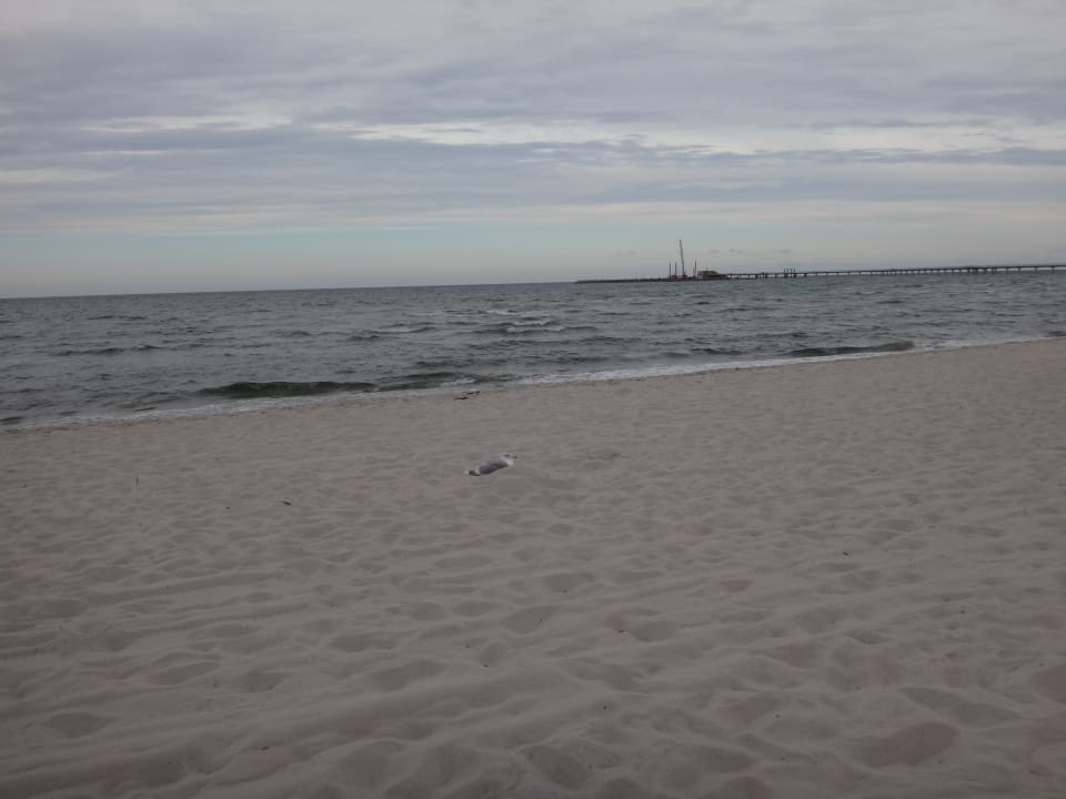 Strand Hotel Bernstein Prerow