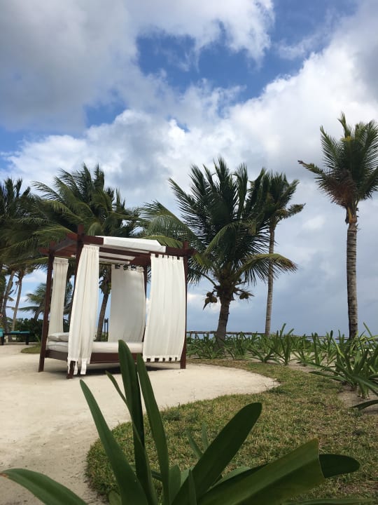 Gartenanlage Akumal Bay Beach & Wellness Resort