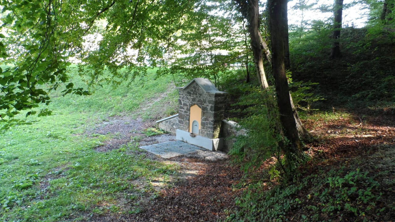 Родничок в лесу Grand Hotel Rogaška Komfort