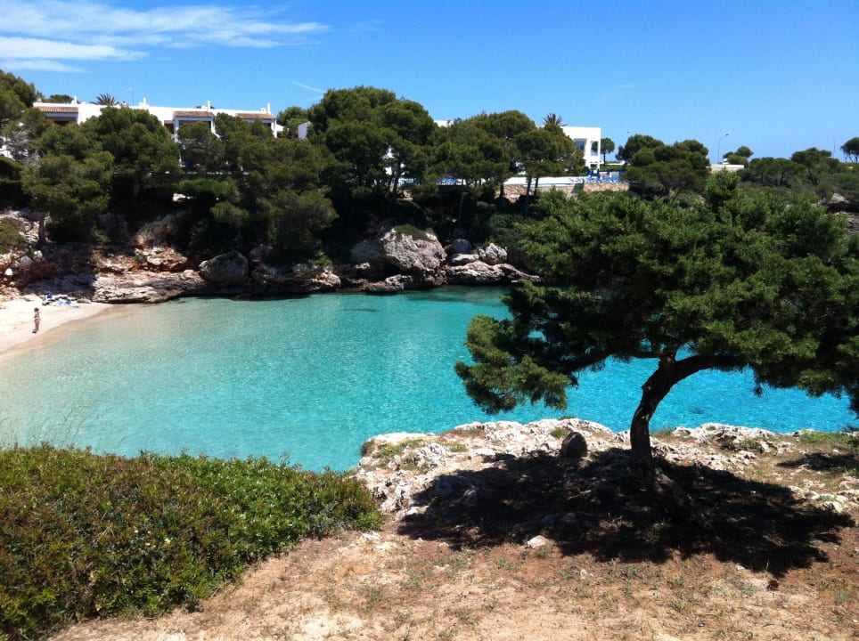 Blick vom Pool auf den Strand Inturotel Cala Esmeralda