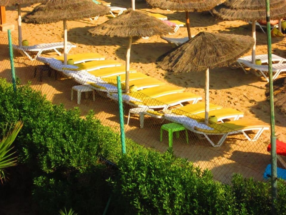 Um 6 Uhr Liegen am Strand reserviert Houda Golf & Beach Club