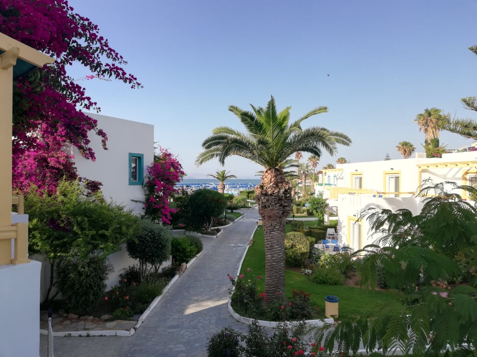 Ausblick vom Balkon Zimmer 304 Mastichari Bay Hotel