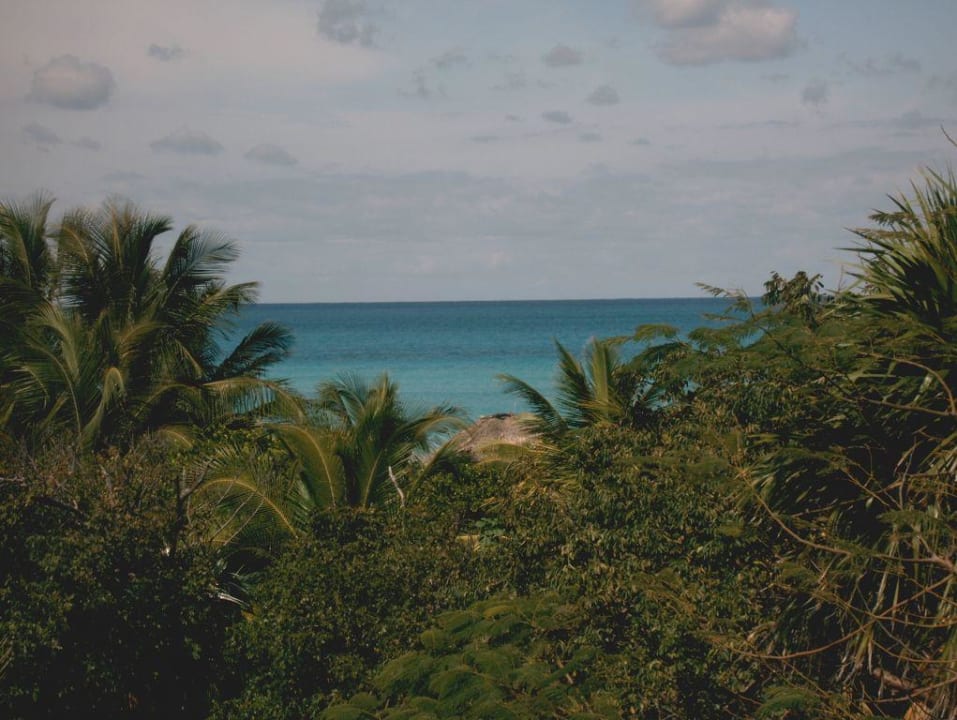 Blick aufs Meer Hotel Los Cactus