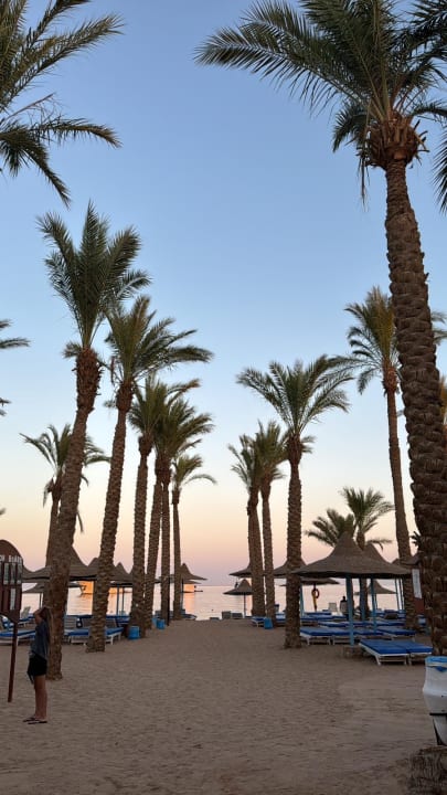 Außenansicht Marlin Inn Azur Resort