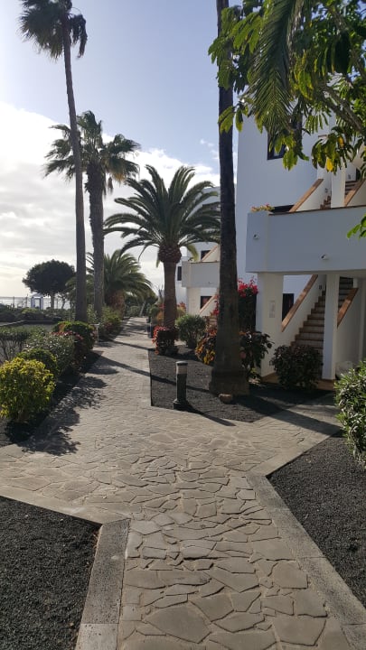 Gartenanlage allsun App.-Hotel Albatros