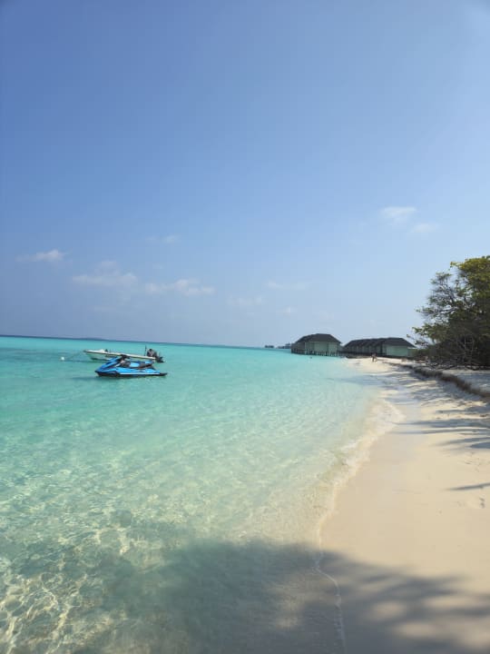 Strand Summer Island Maldives