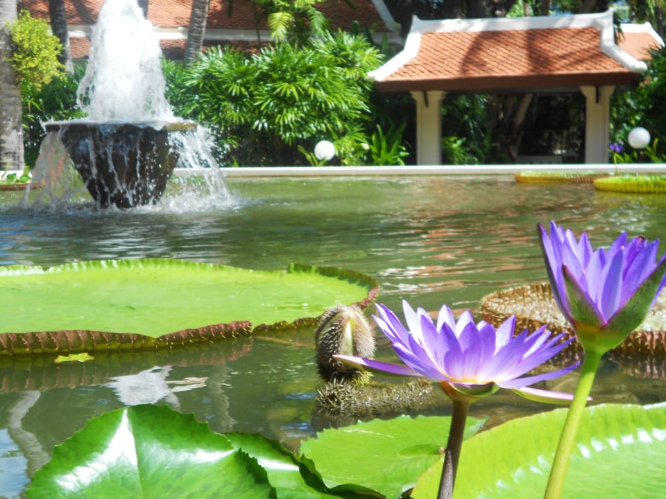 Brunnen im Garten  Santiburi Koh Samui