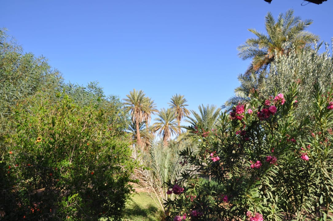 Garten zum Entspannen Hotel Dar Paru