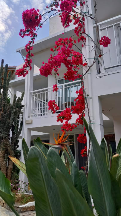 Außenansicht HARPIN Happy Days Beach Hotel