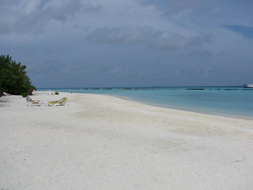 Täglicher Ausblick Summer Island Maldives