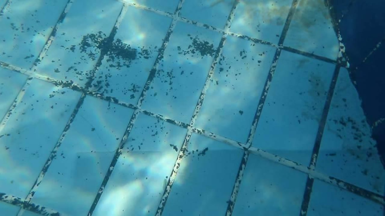 Ekelhaft Sunny Days Palma De Mirette Resort & Spa