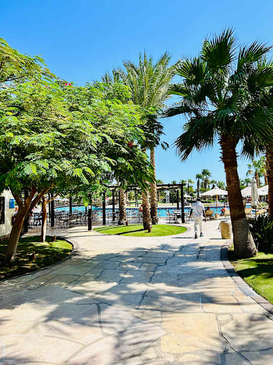 Pool Steigenberger ALDAU Beach Hotel