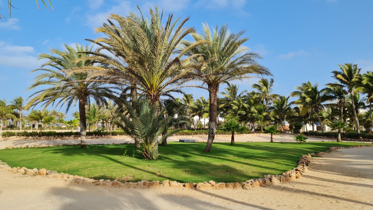 Gartenanlage Hotel Riu Karamboa