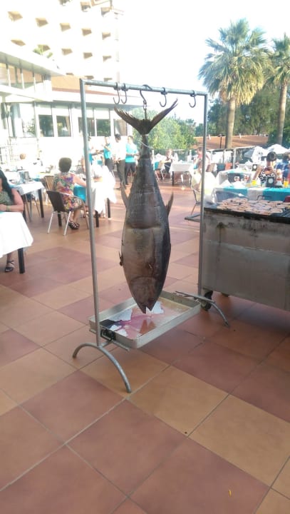 Auf der Terrasse wird jeden Abend frisch gekocht Seher Kumköy Star Resort & Spa