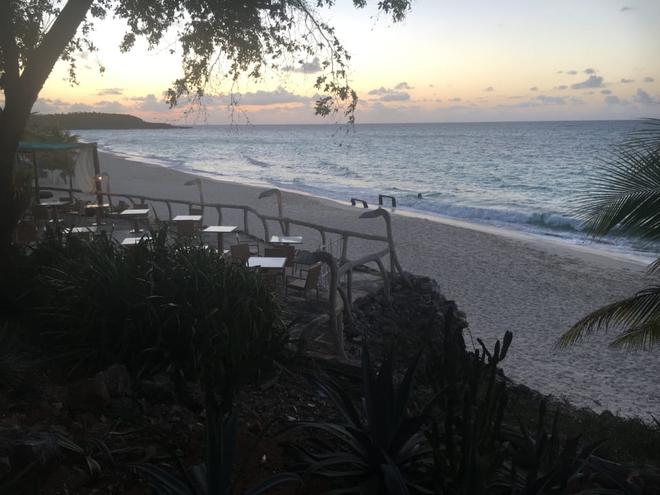 Strand Paradisus Rio de Oro Resort & Spa - Adults only