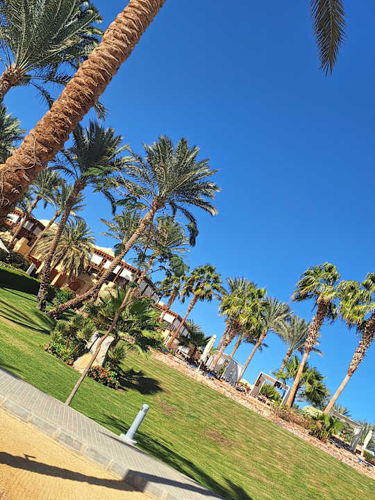 Außenansicht Steigenberger Coraya Beach - Adults only