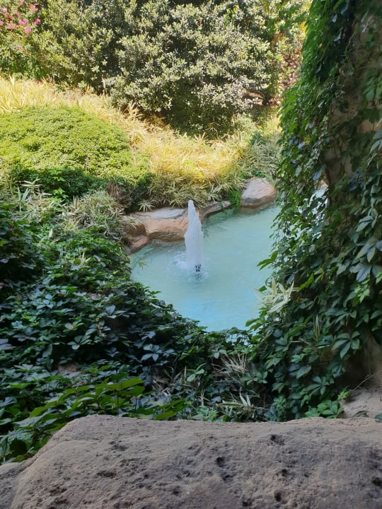 Gartenanlage Starlight Resort Hotel