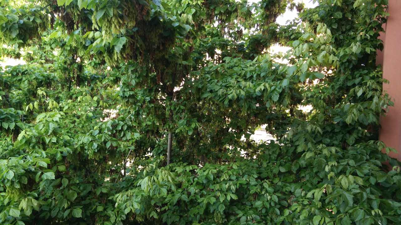 Ausblick Hotel Piave