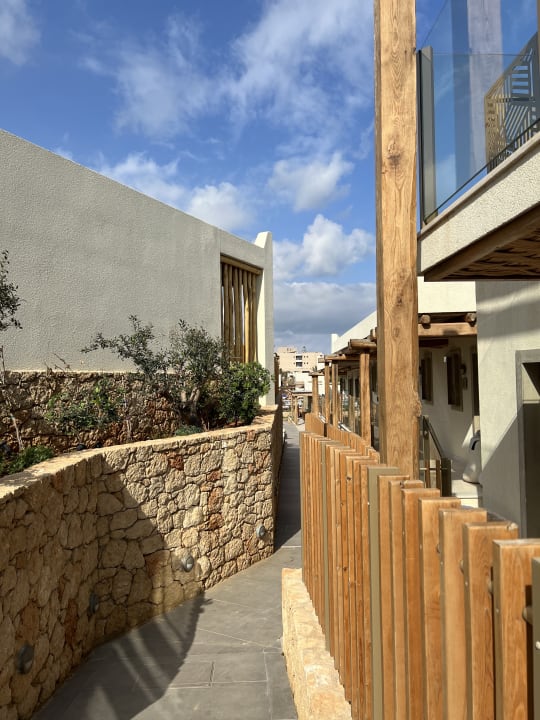 Sonstiges Mitsis Selection Rinela