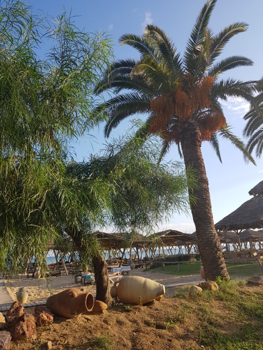 Gastro The Orangers Beach Resort and Bungalows