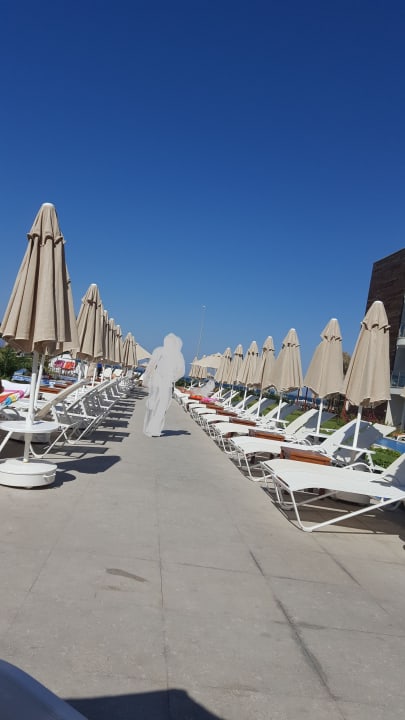 Pool MyElla Bodrum Resort & Spa