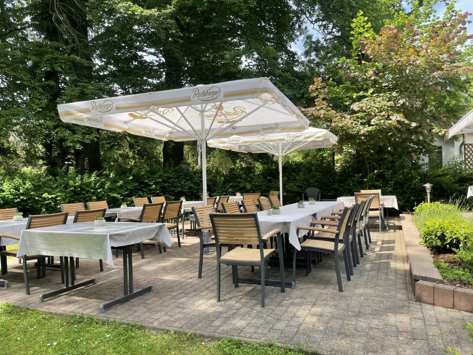 Gastro Hotel Luther Birke Wittenberg