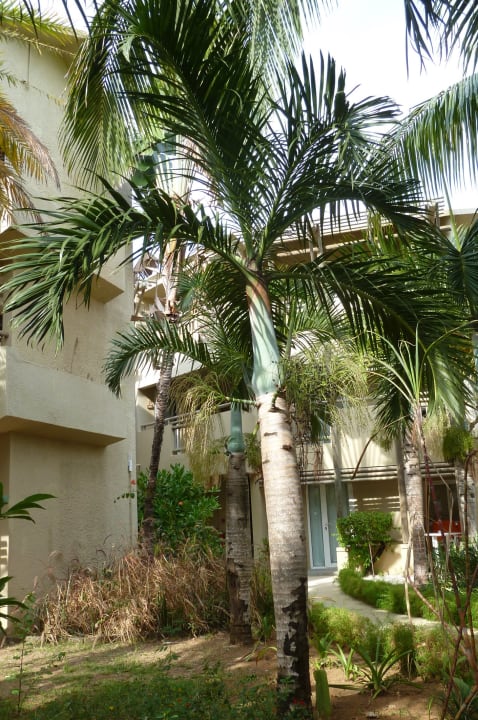 Gartenanlage Friday Attitude