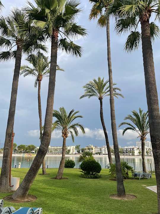 Gastro Alcudiamar Marina Residence