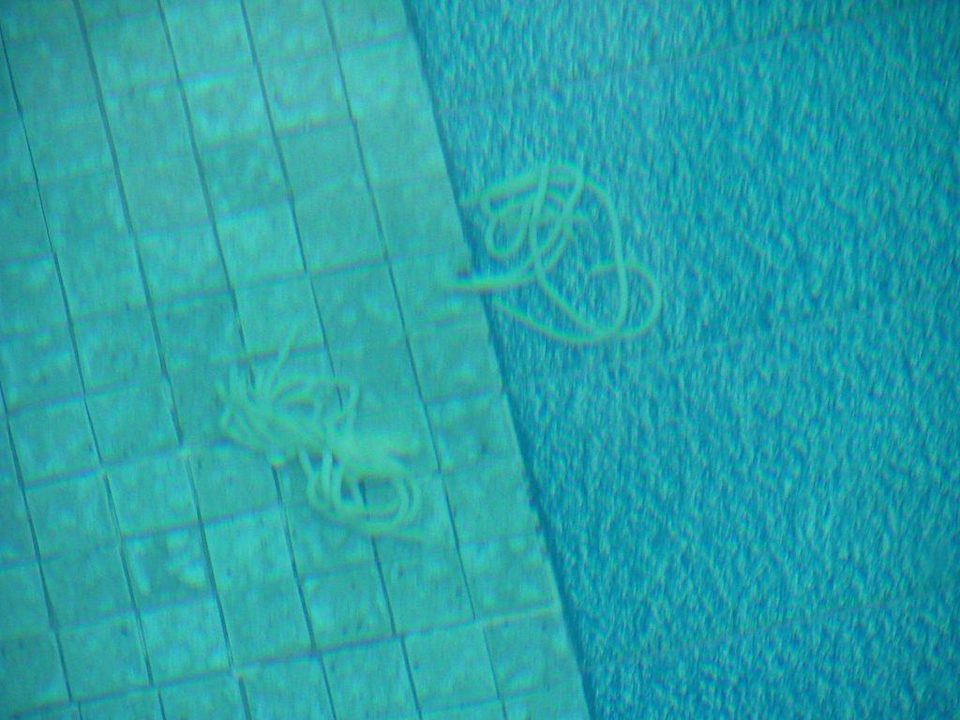 Gegenstände ins Schwimmbad Hotel Castella