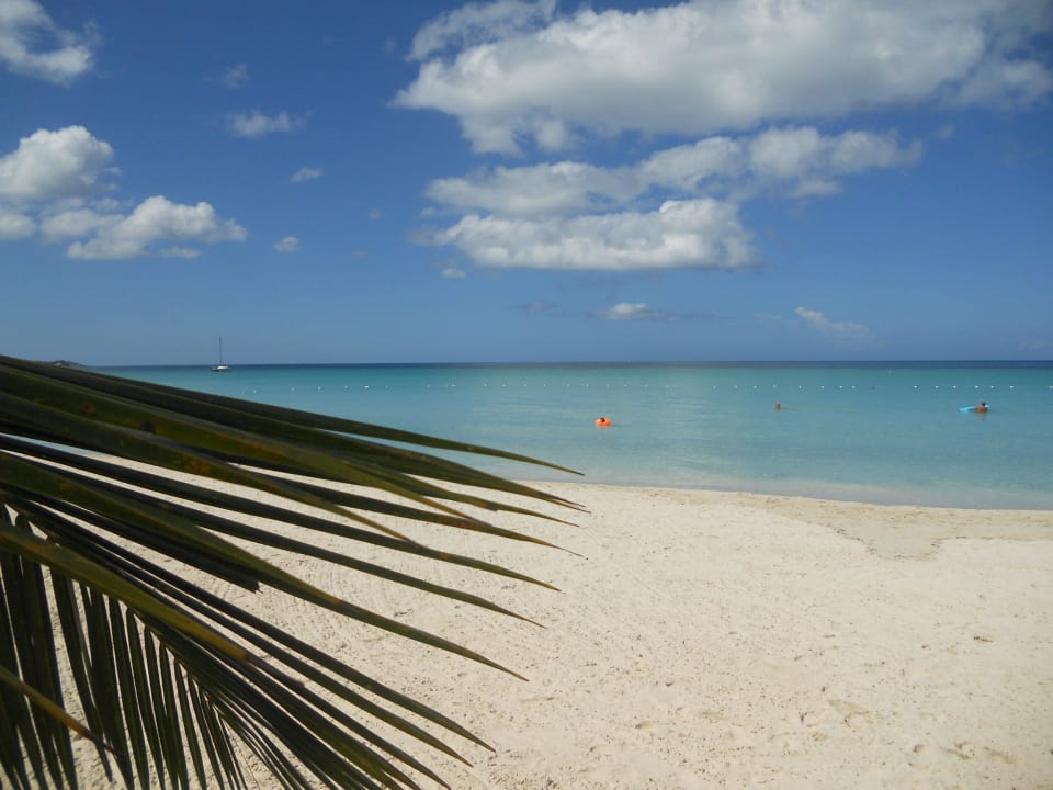 Ohne Worte 2 Charela Inn Hotel