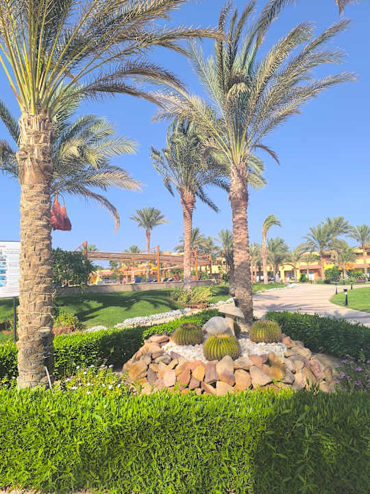 Gartenanlage Malikia Resort Abu Dabbab