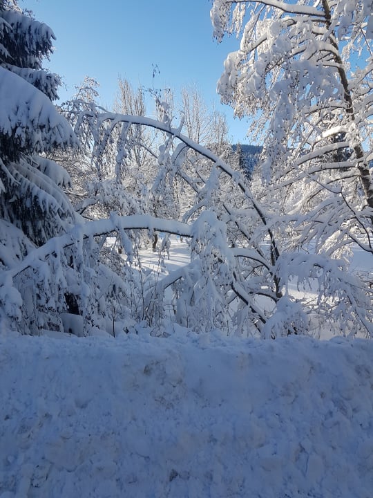 Ausblick Ferienclub Maierhöfen