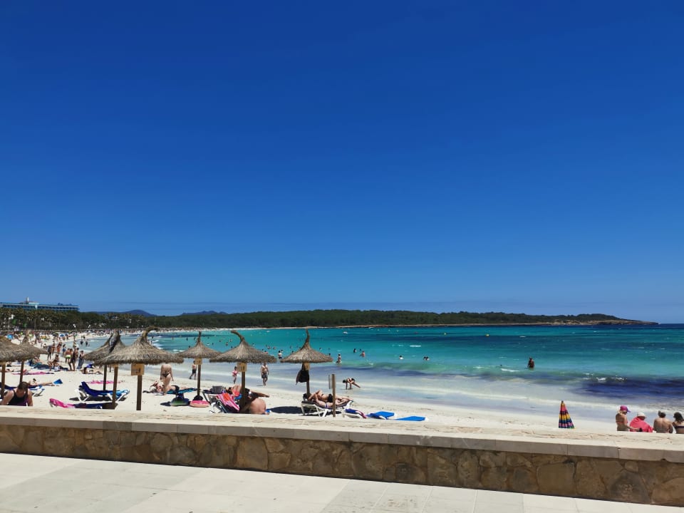 Strand Allsun App Hotel Orient Beach Sa Coma Holidaycheck Mallorca Spanien